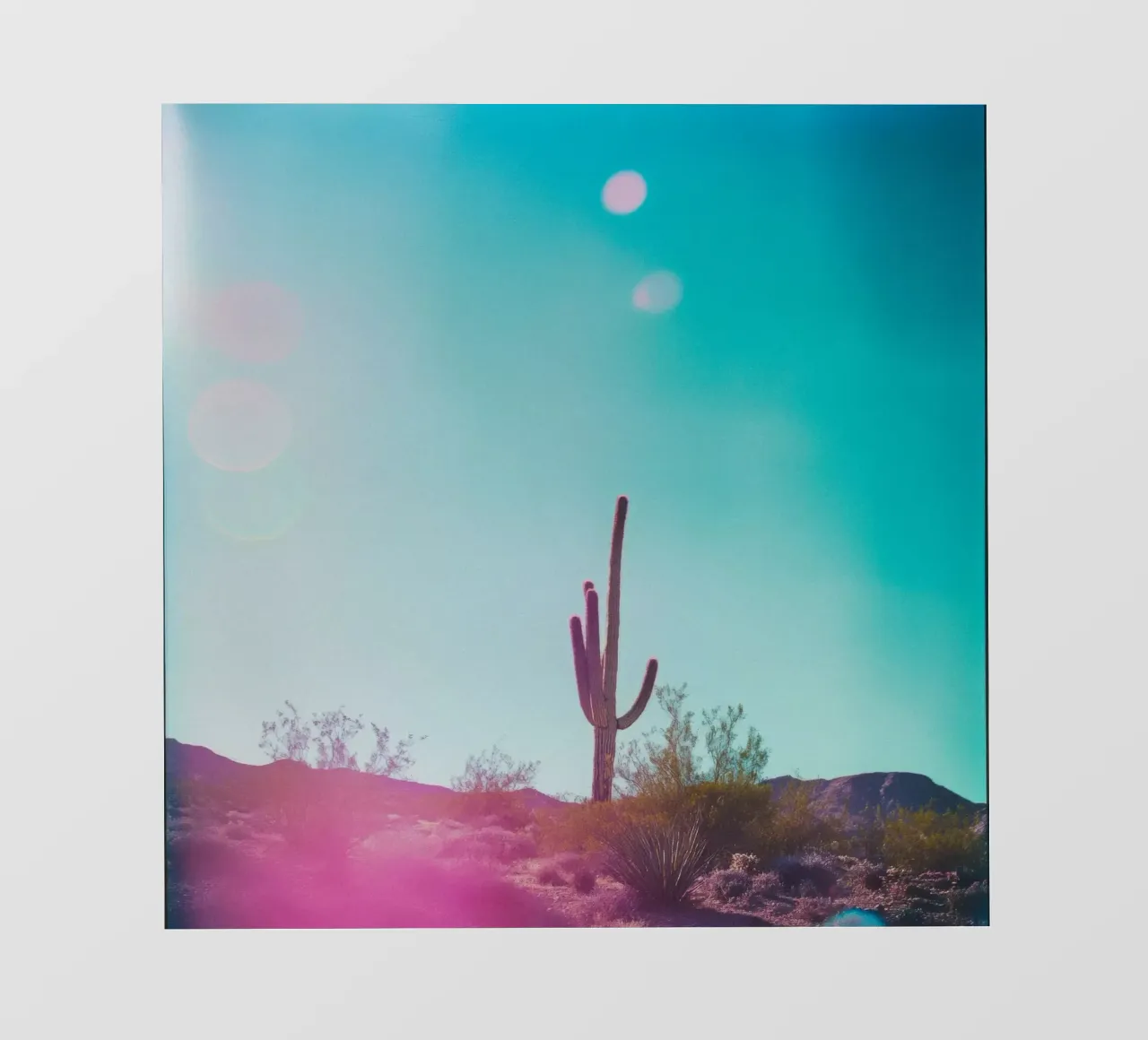 45 fotobehang van Pink California | Affiches & Posters