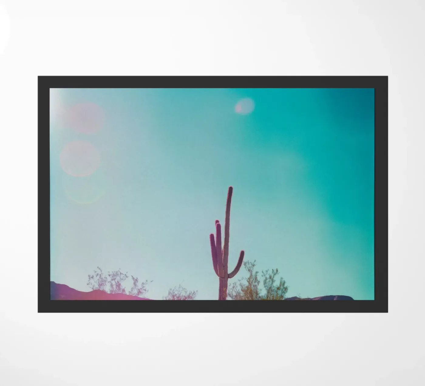 45 zerbino da Pink California | Affiches & Posters