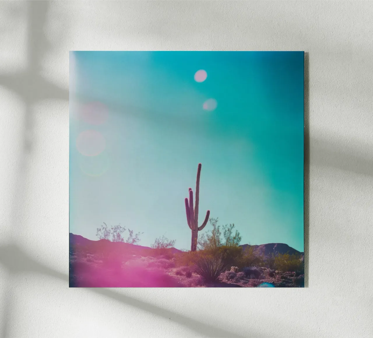 45 plexiglass da Pink California | Affiches & Posters