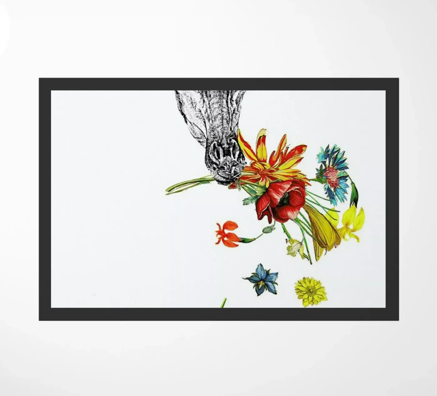 Hay zerbino da Rococco LA