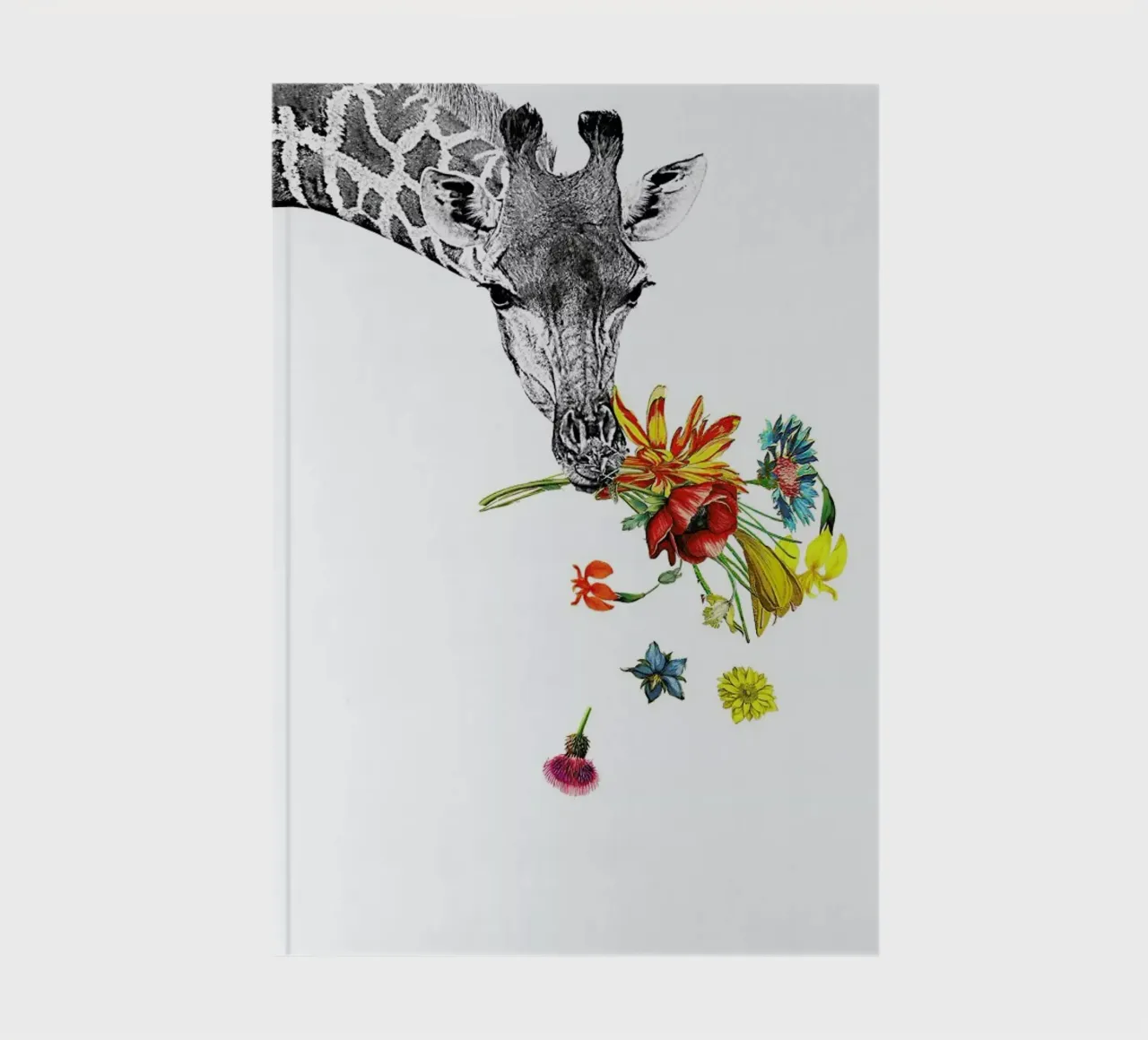 Hay notebook by Rococco LA