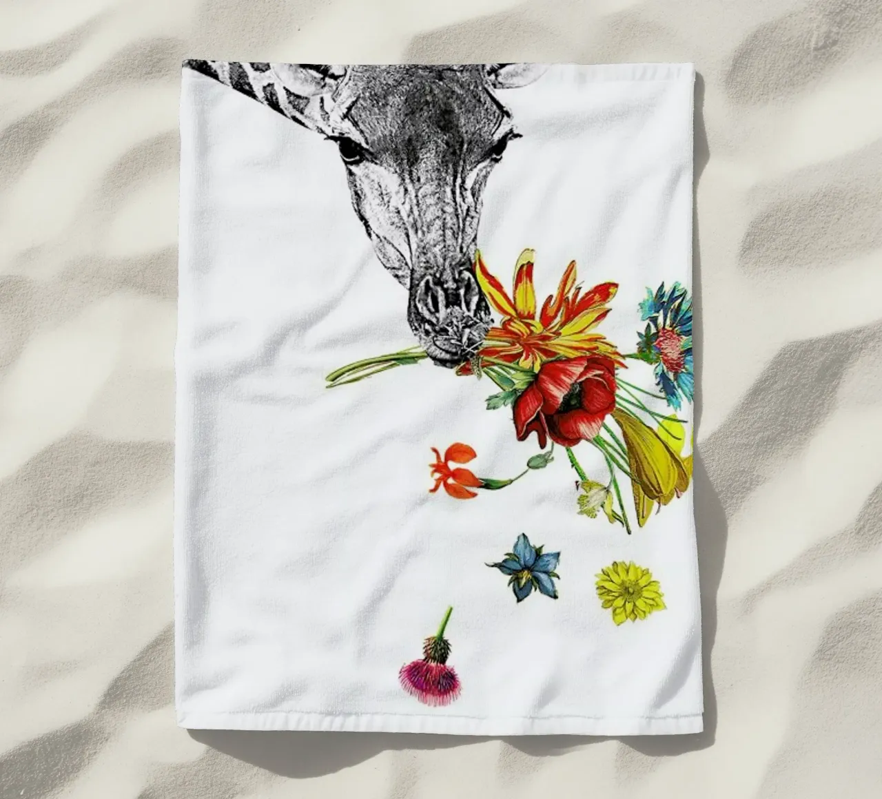 Hay telo mare da Rococco LA