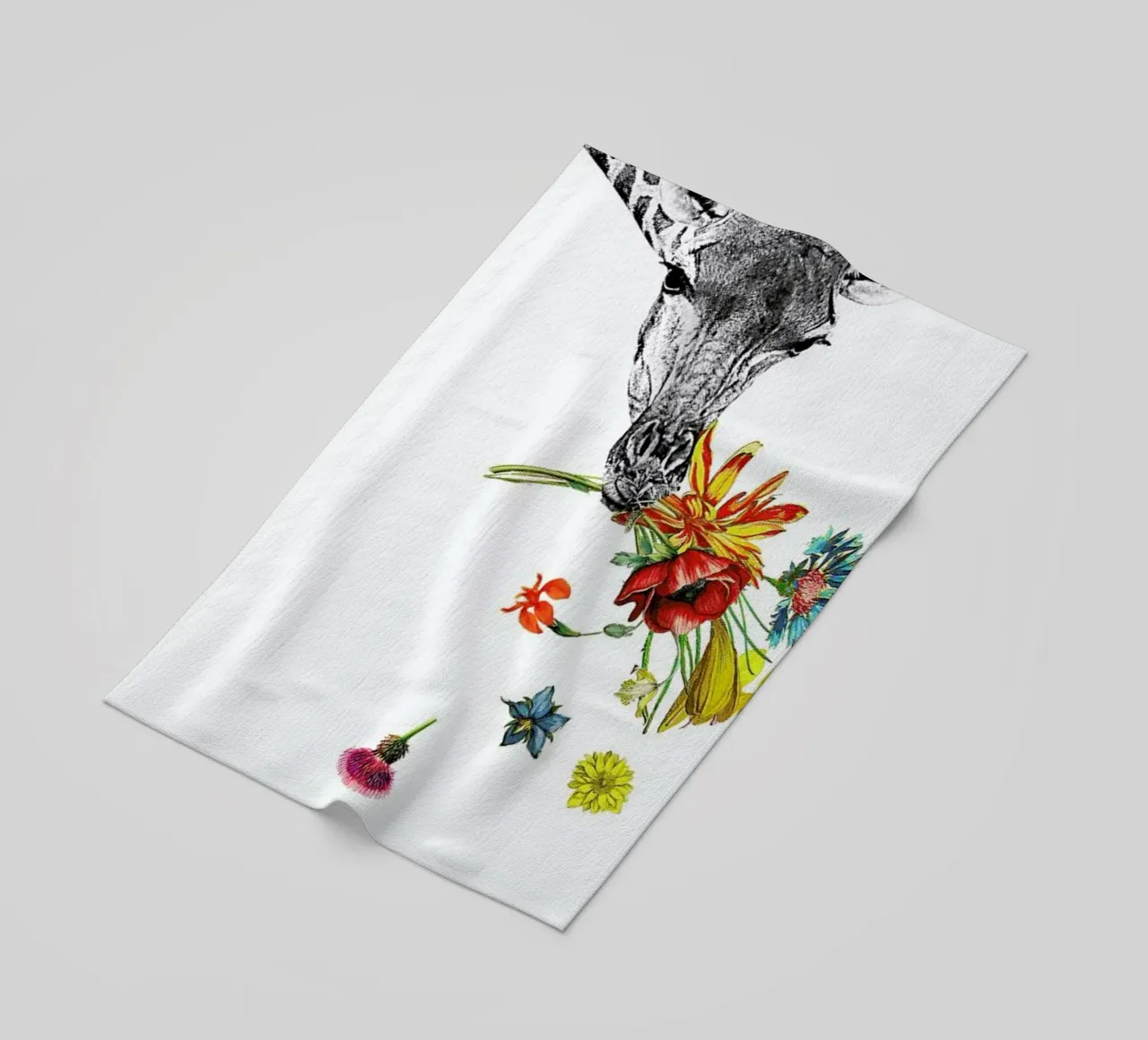 Hay telo mare da Rococco LA