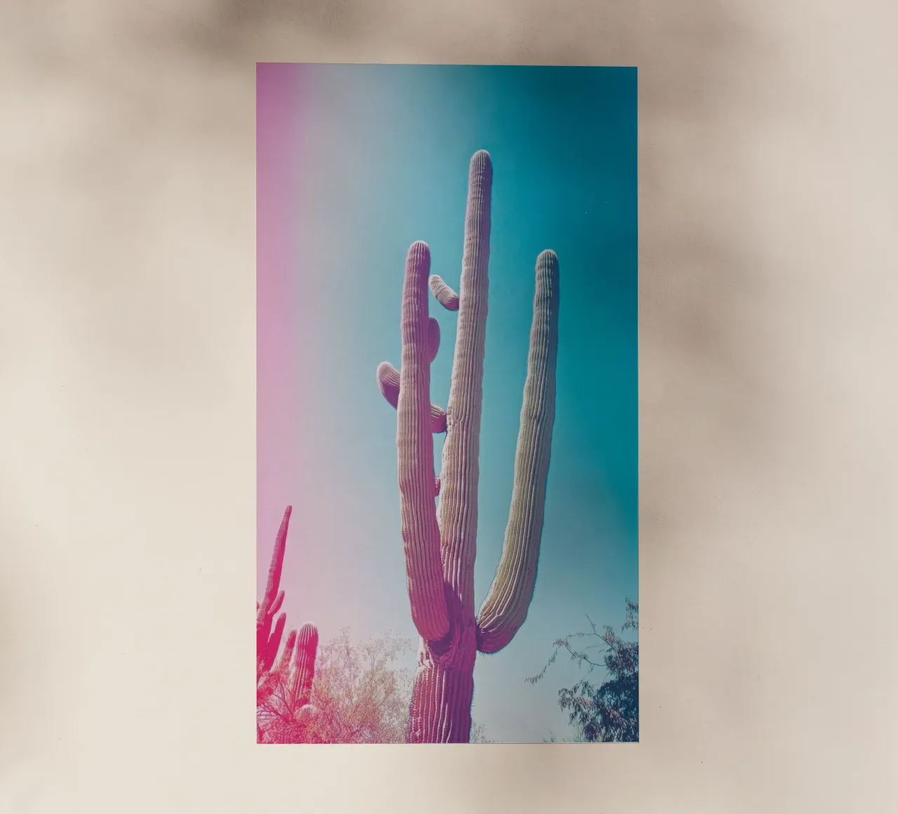 46 pellicola backlit da Pink California | Affiches & Posters