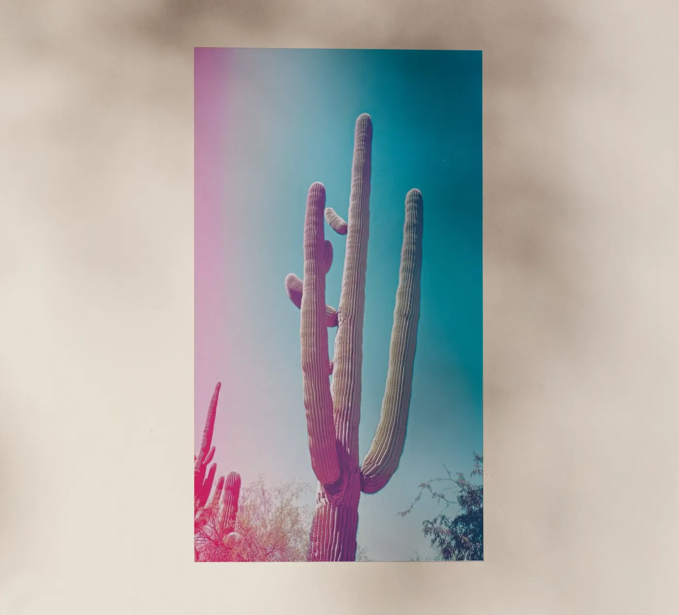 46 backlit folie van Pink California | Affiches & Posters