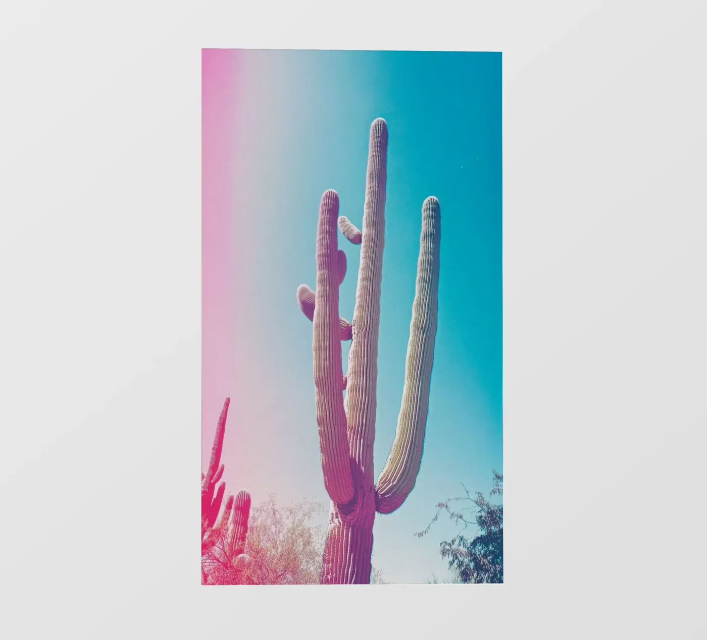 46 backlit folie van Pink California | Affiches & Posters