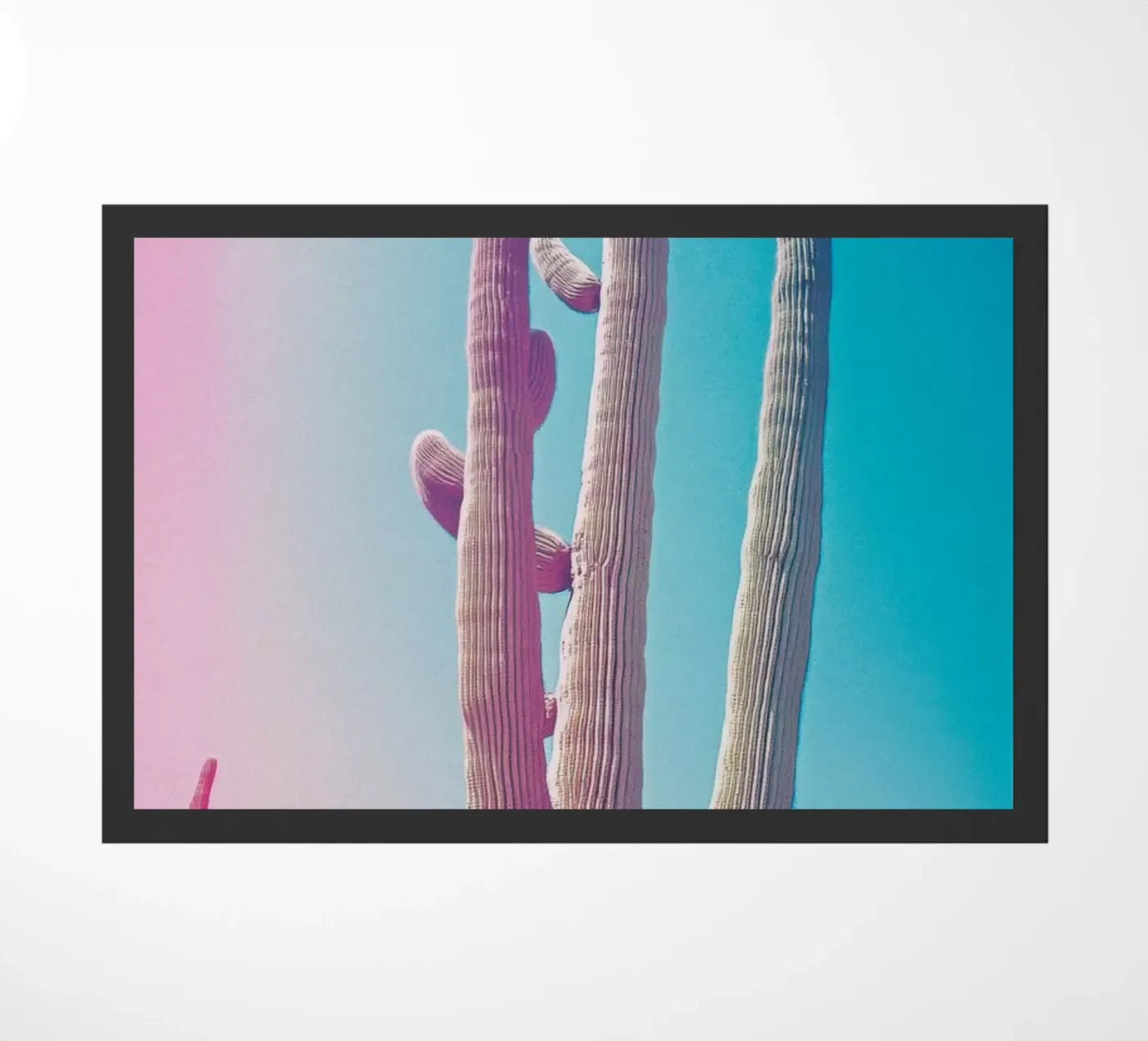 46 zerbino da Pink California | Affiches & Posters