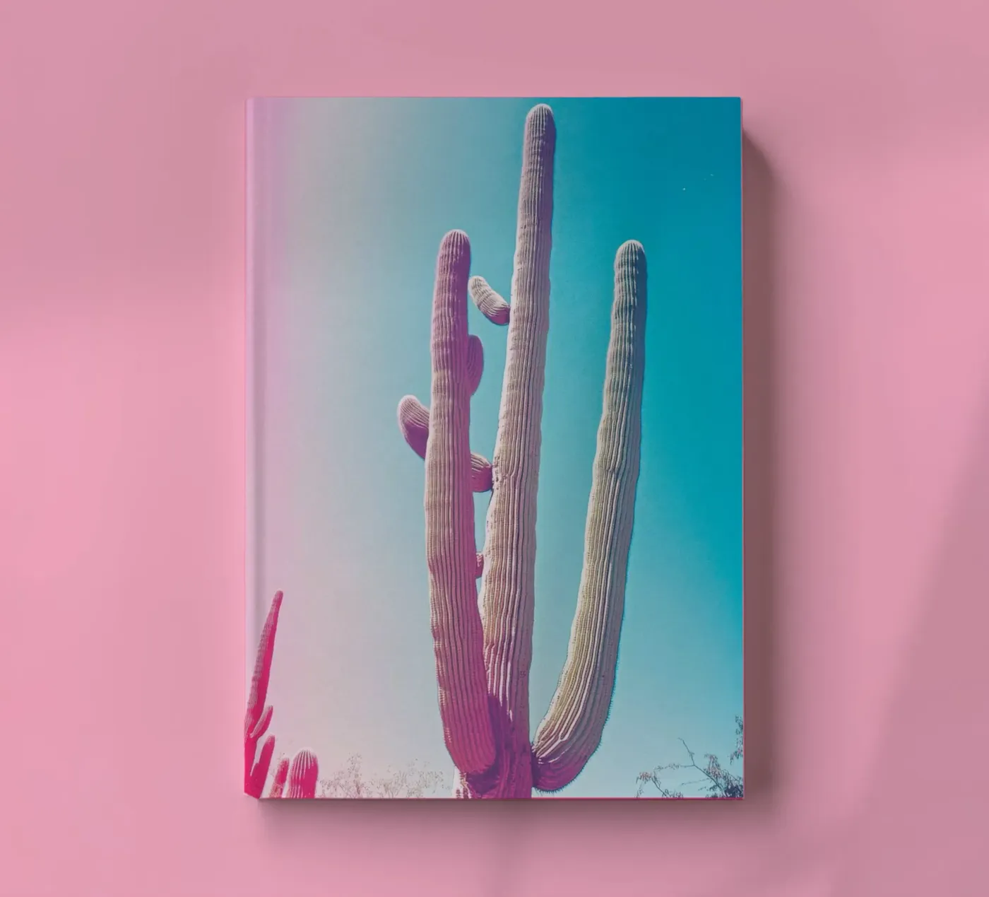 46 notebook by Pink California | Affiches & Posters