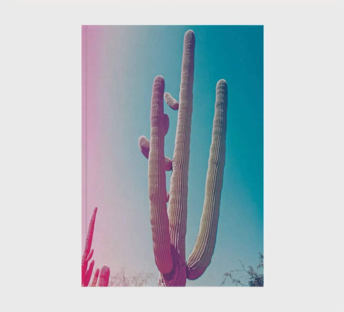 46 notebook by Pink California | Affiches & Posters