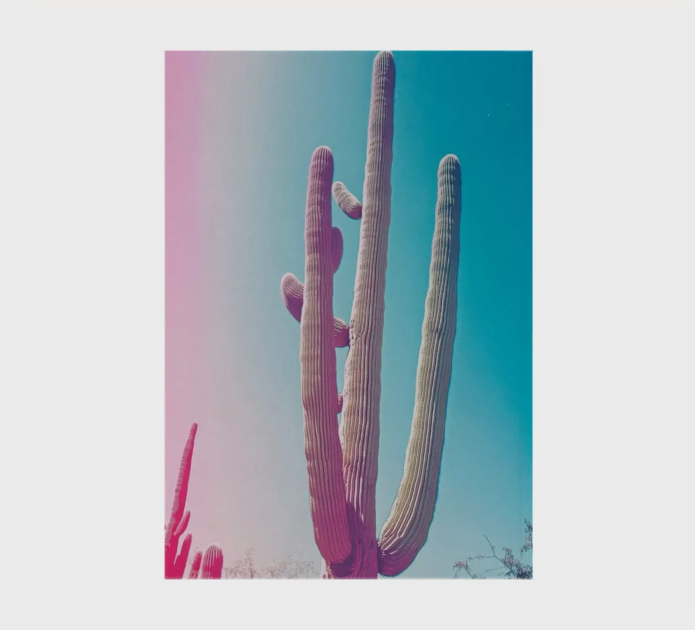 46 notebook by Pink California | Affiches & Posters