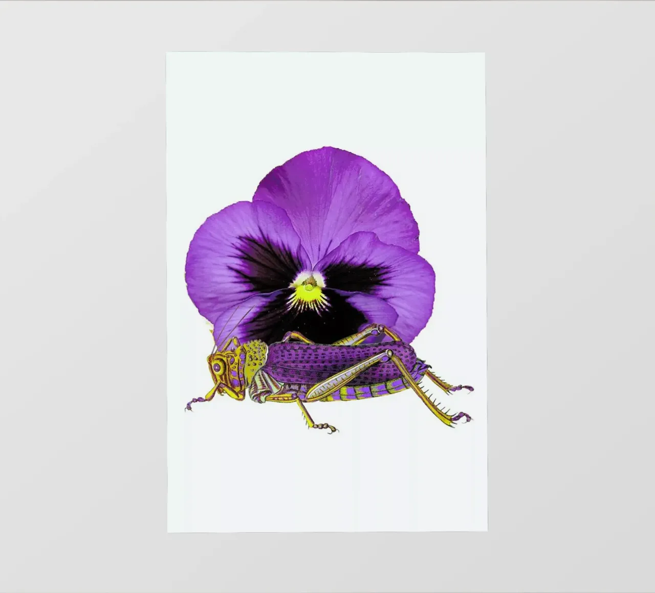 Purple Grasshopper and Viola telo in pvc da Rococco LA