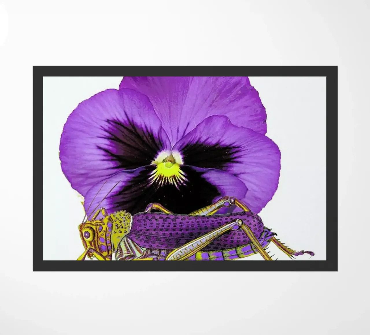 Purple Grasshopper and Viola zerbino da Rococco LA