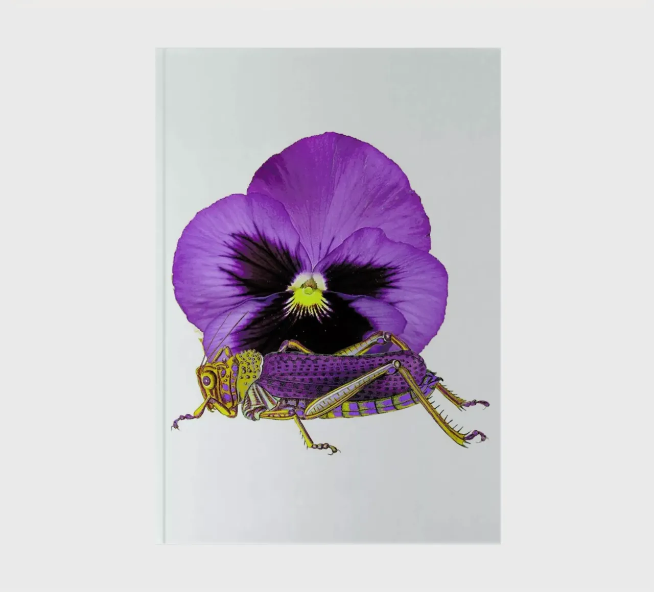 Purple Grasshopper and Viola notebook by Rococco LA