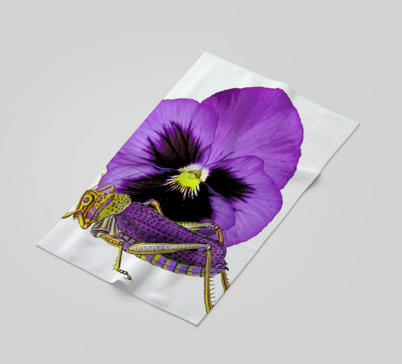Purple Grasshopper and Viola telo mare da Rococco LA