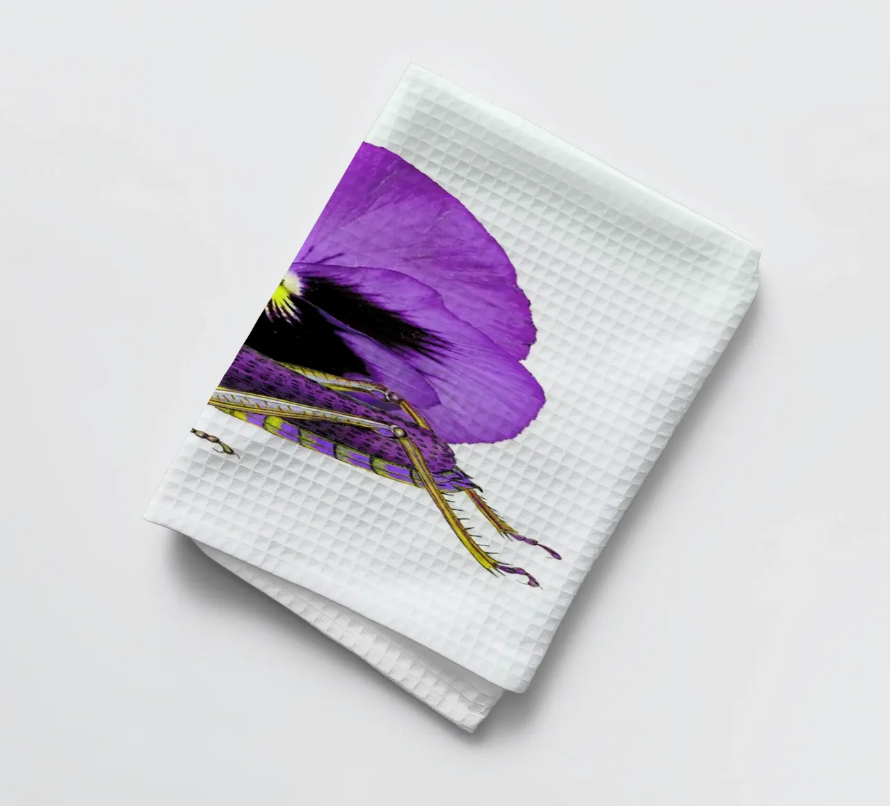 Purple Grasshopper and Viola canovaccio da cucina da Rococco LA