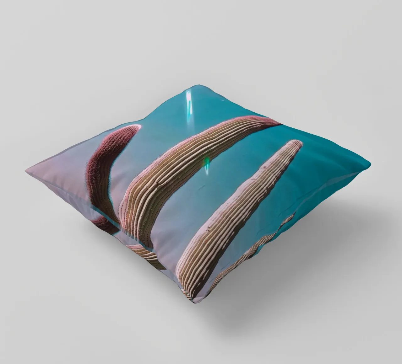 47 cuscino da Pink California | Affiches & Posters
