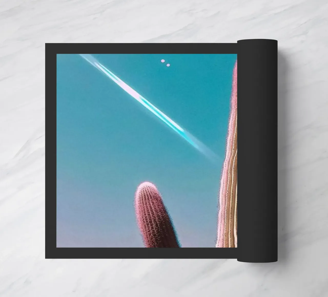 47 zerbino da Pink California | Affiches & Posters