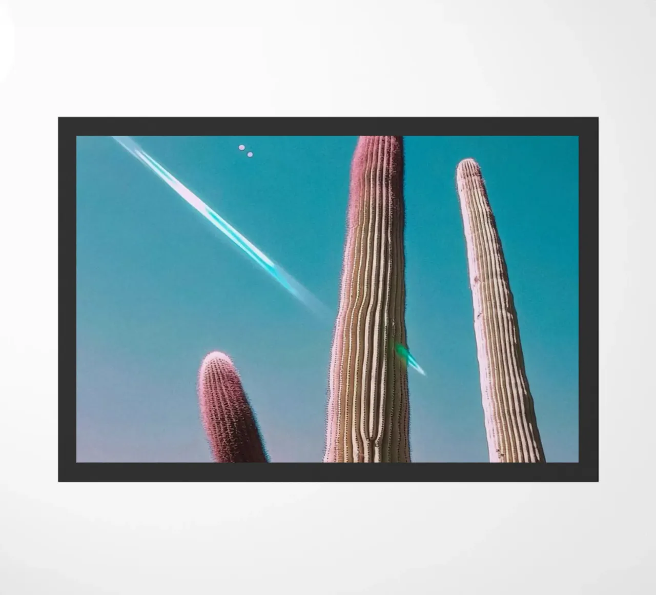 47 zerbino da Pink California | Affiches & Posters