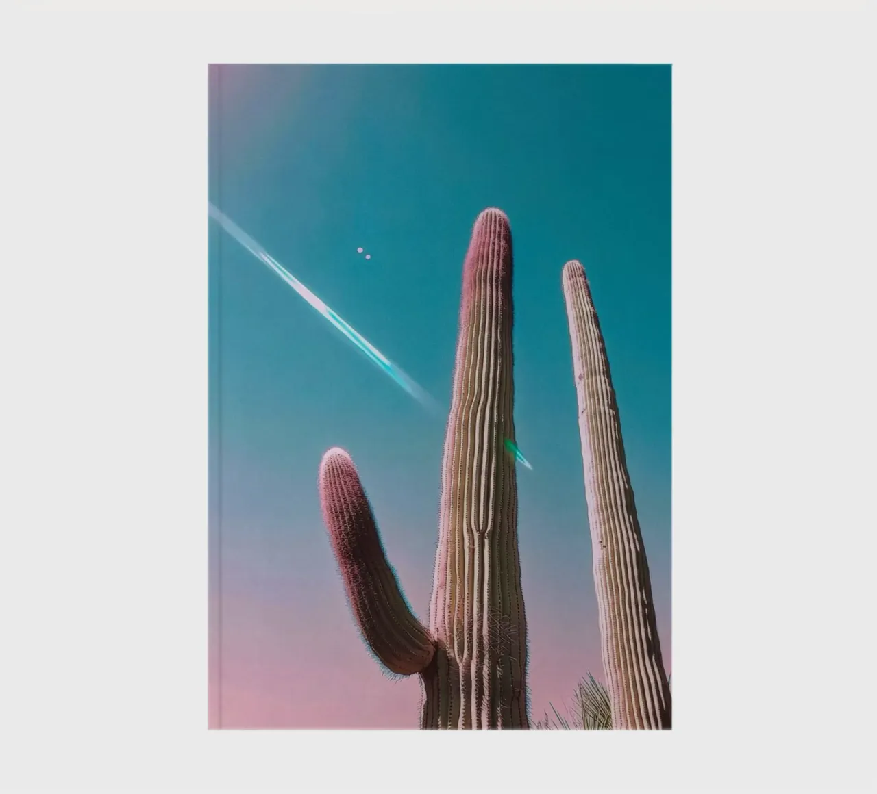47 notebook by Pink California | Affiches & Posters