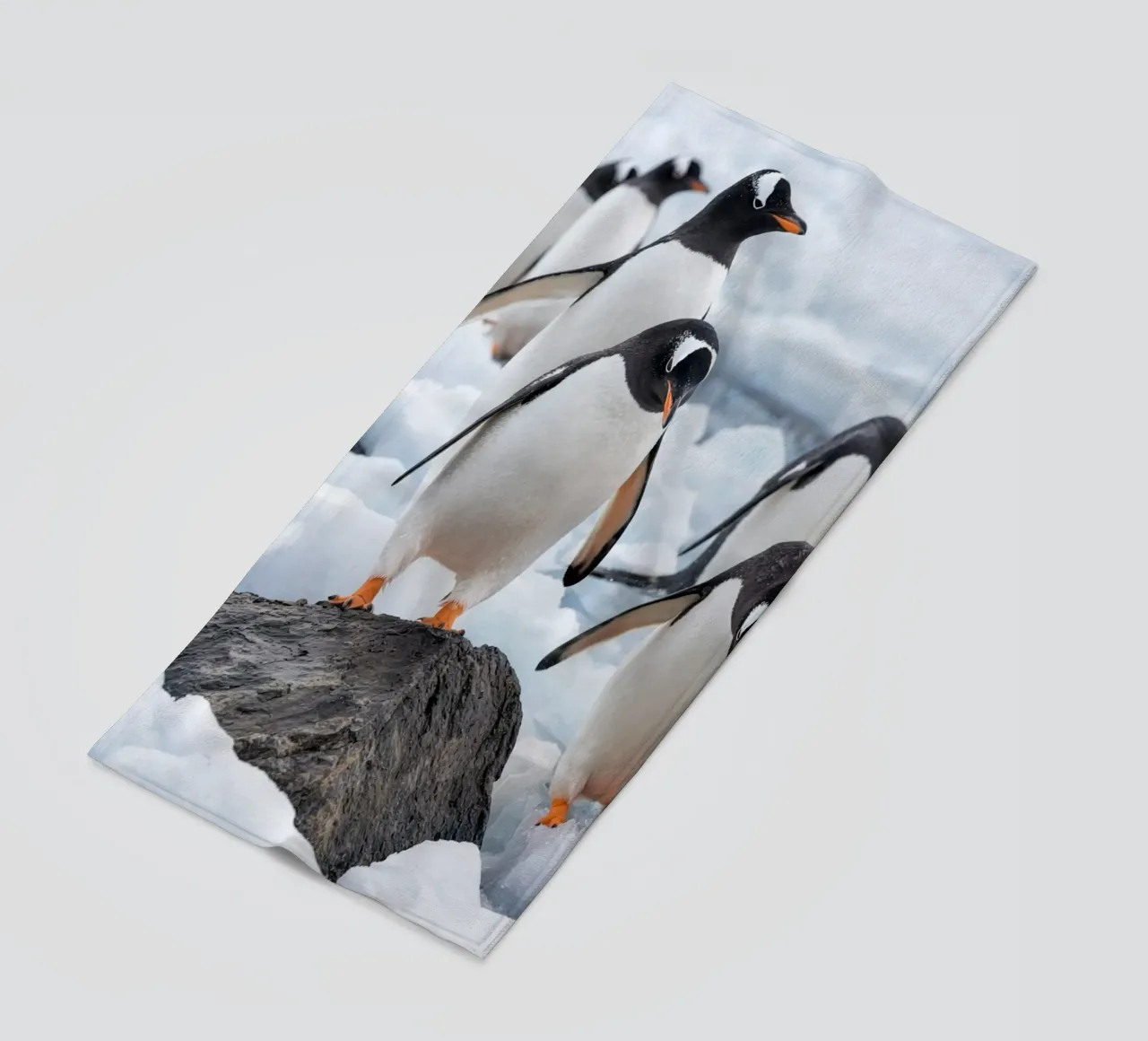 pinguini telo mare da Maraza