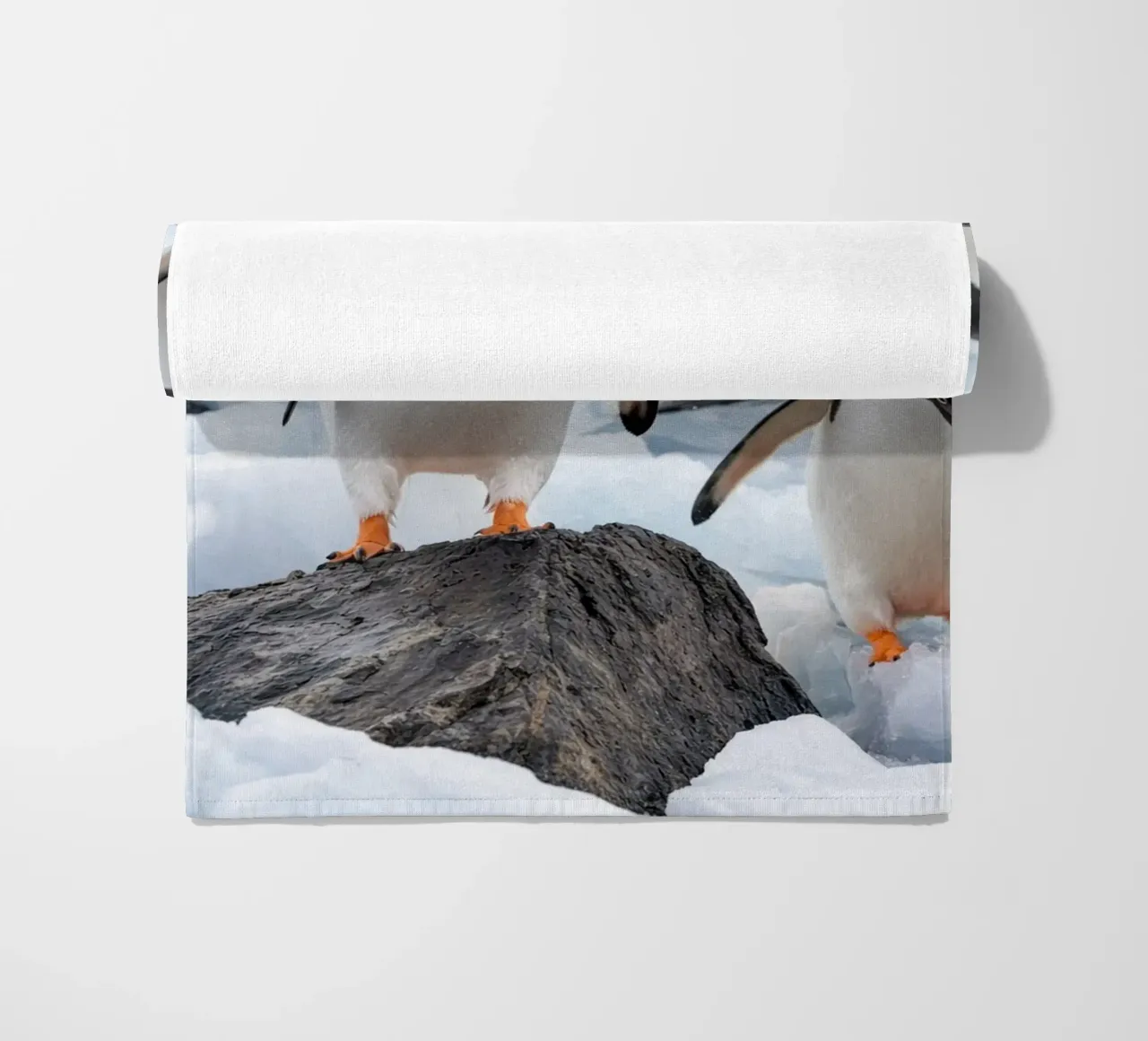 pinguini telo mare da Maraza