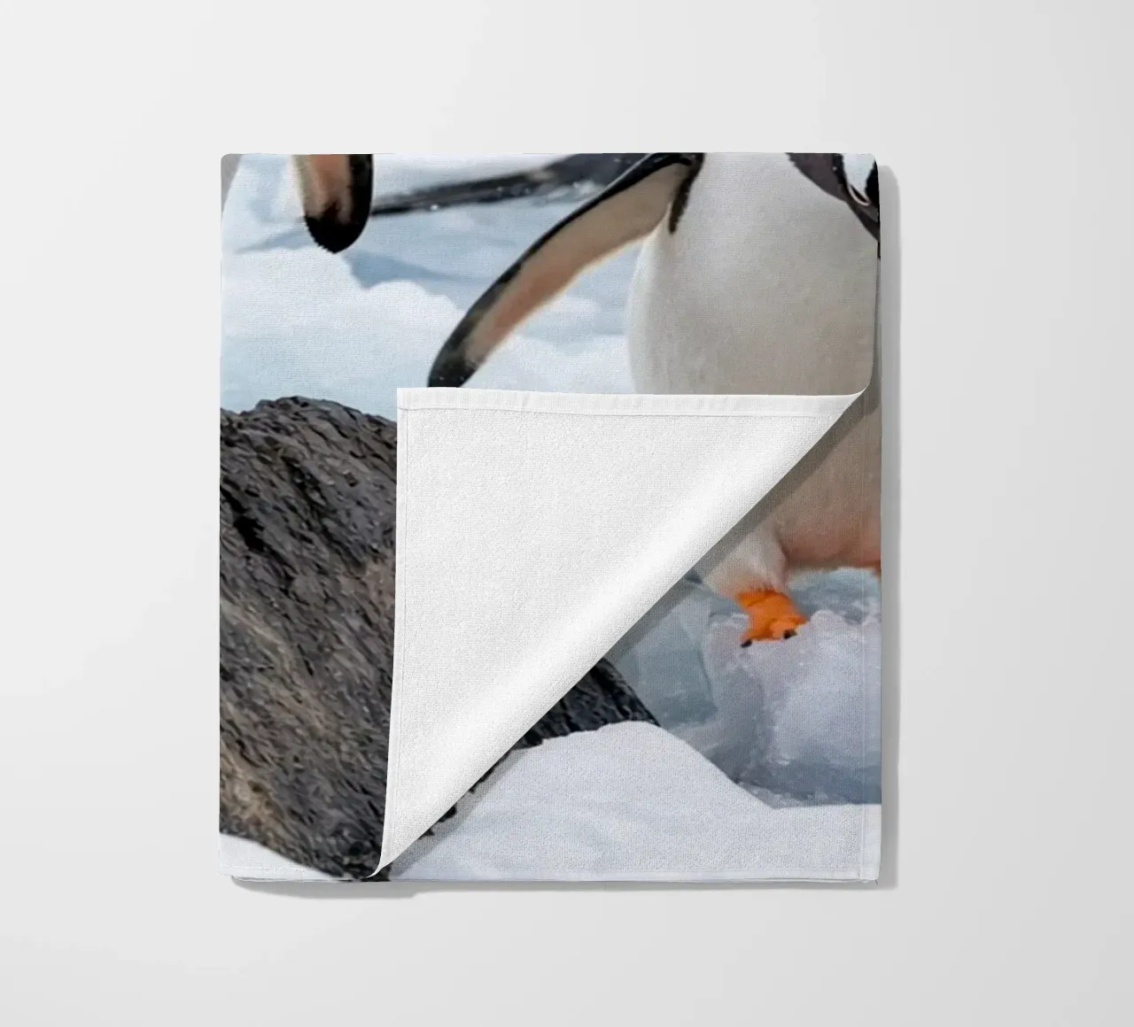 pinguini telo mare da Maraza