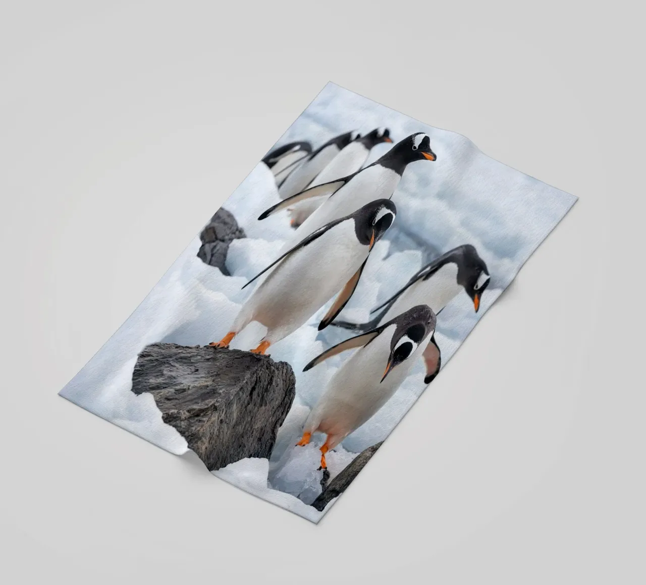 pinguini telo mare da Maraza