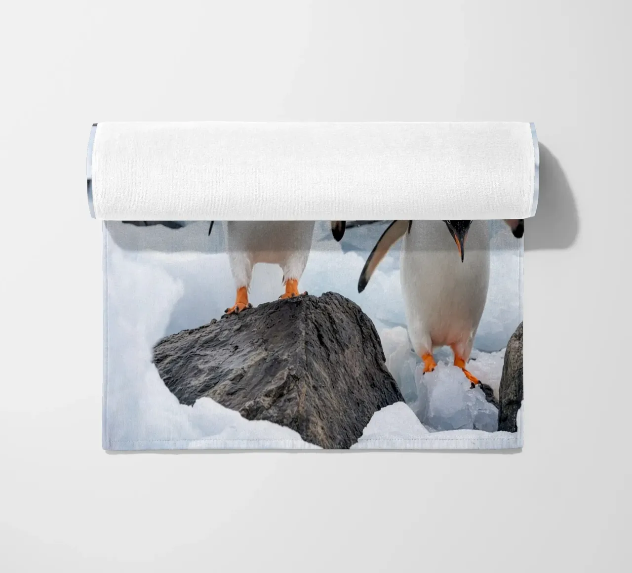 pinguini telo mare da Maraza