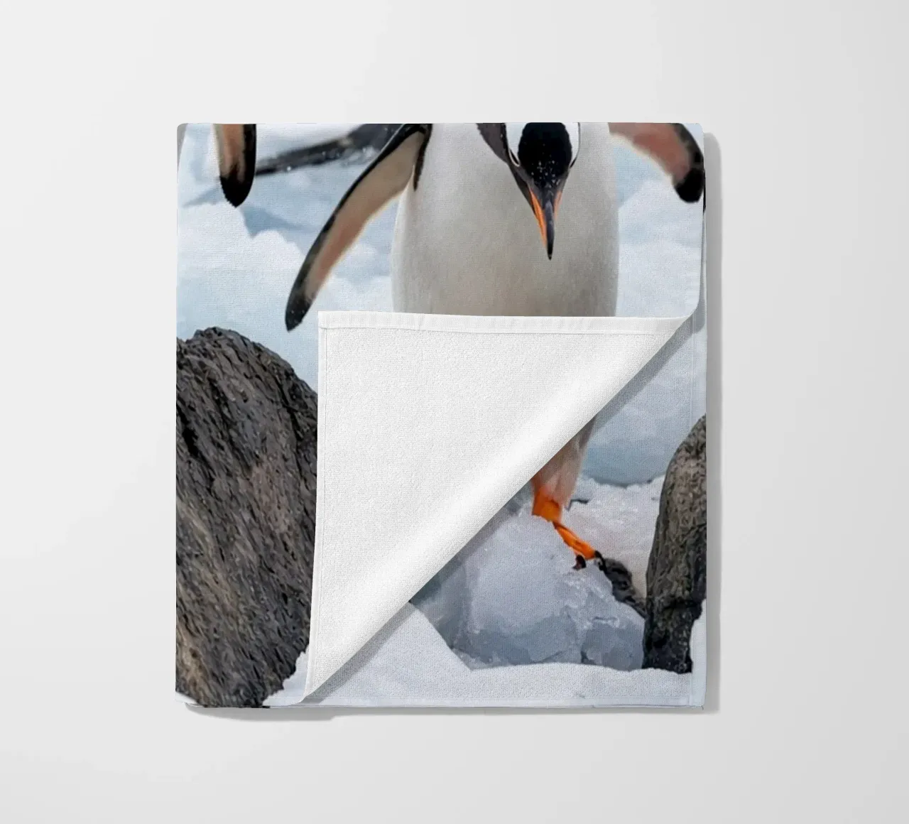 pinguini telo mare da Maraza