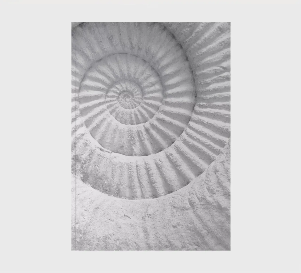 Fossil spiral - Timeless natural art in a minimalist style notebook by Whole©