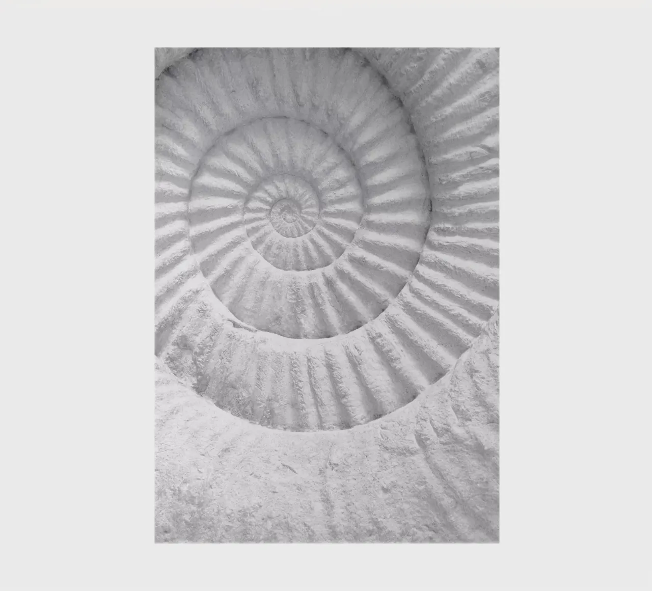 Fossil spiral - Timeless natural art in a minimalist style notebook by Whole©