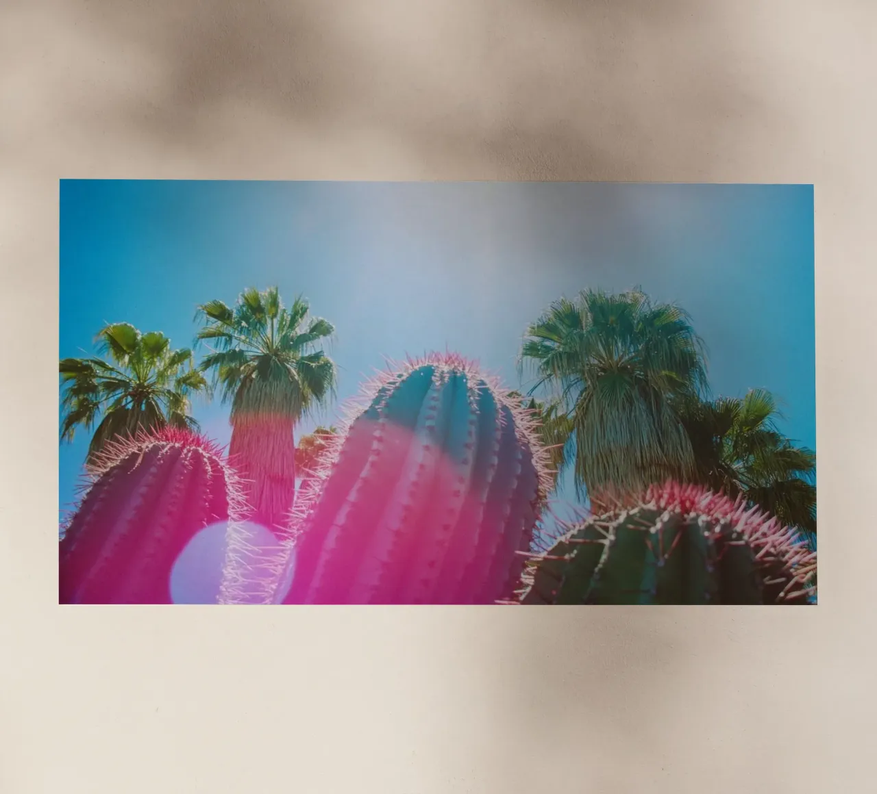 48 pellicola backlit da Pink California | Affiches & Posters