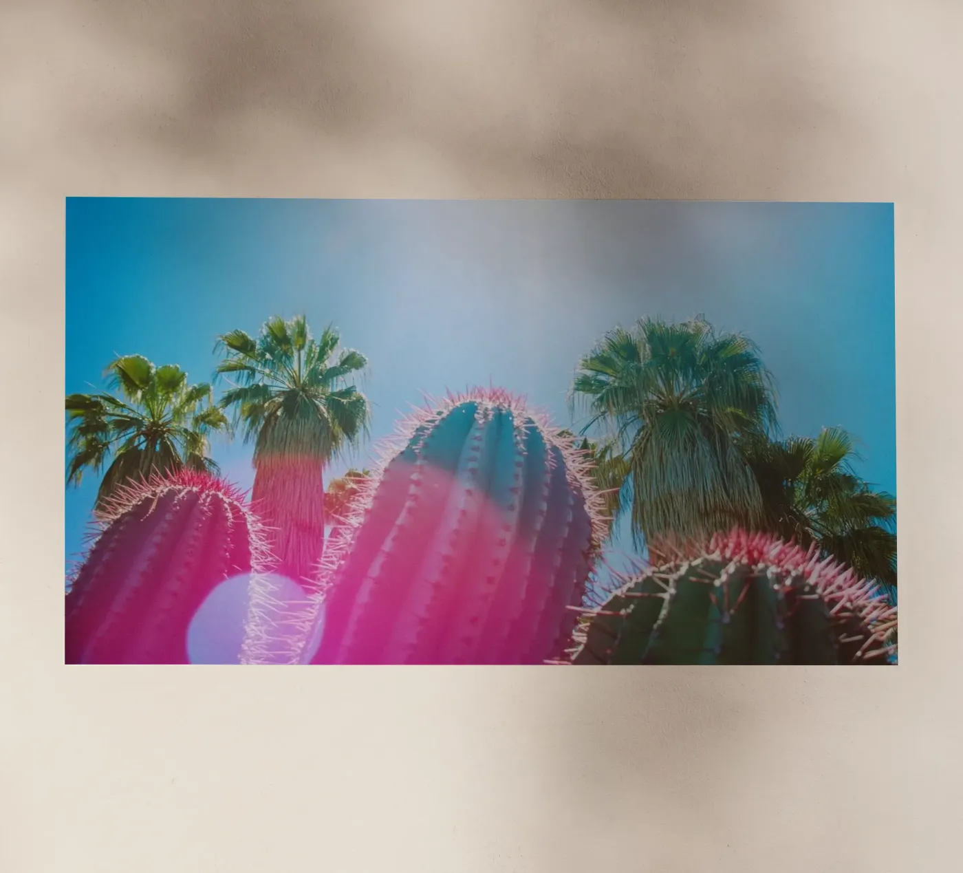 48 backlit folie van Pink California | Affiches & Posters
