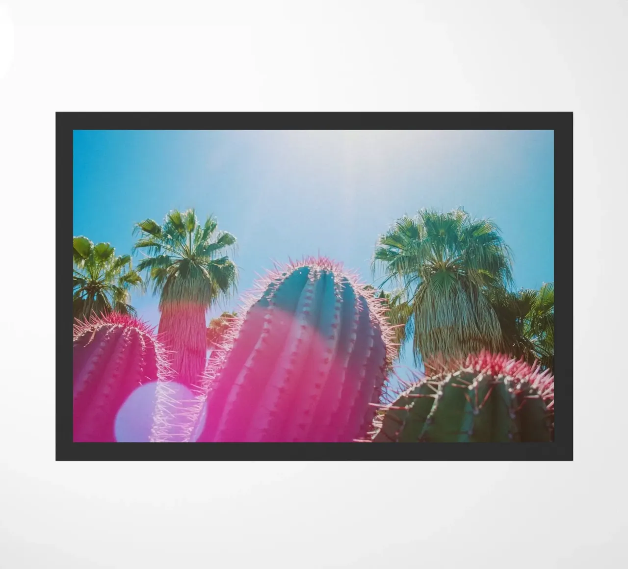 48 zerbino da Pink California | Affiches & Posters