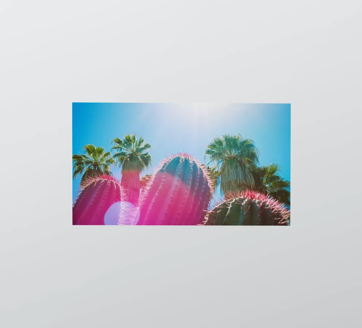 48 sticker by Pink California | Affiches & Posters