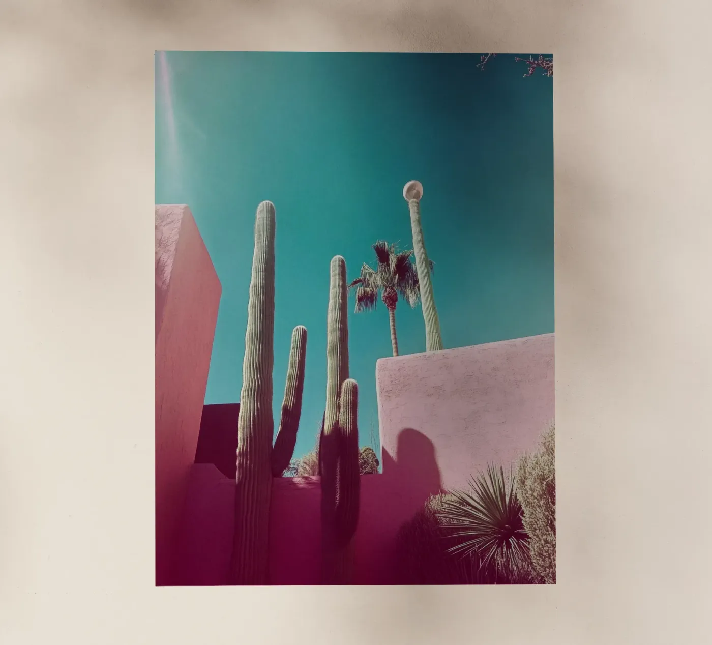 49 pellicola backlit da Pink California | Affiches & Posters