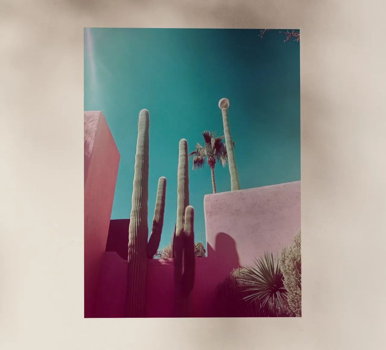 49 pellicola backlit da Pink California | Affiches & Posters