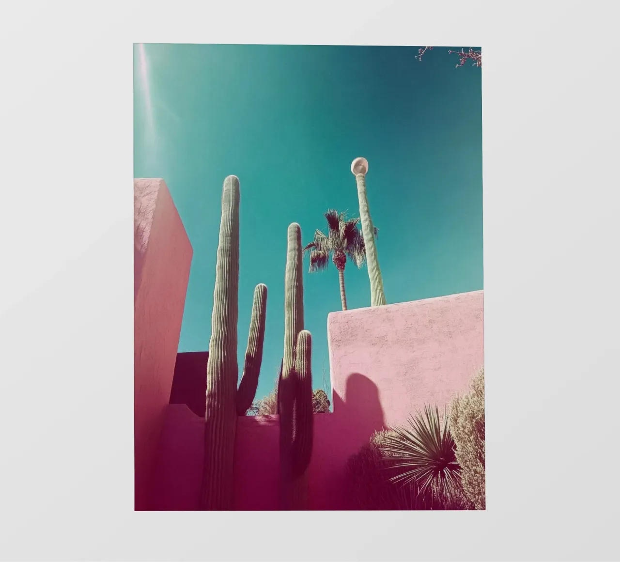 49 fotobehang van Pink California | Affiches & Posters