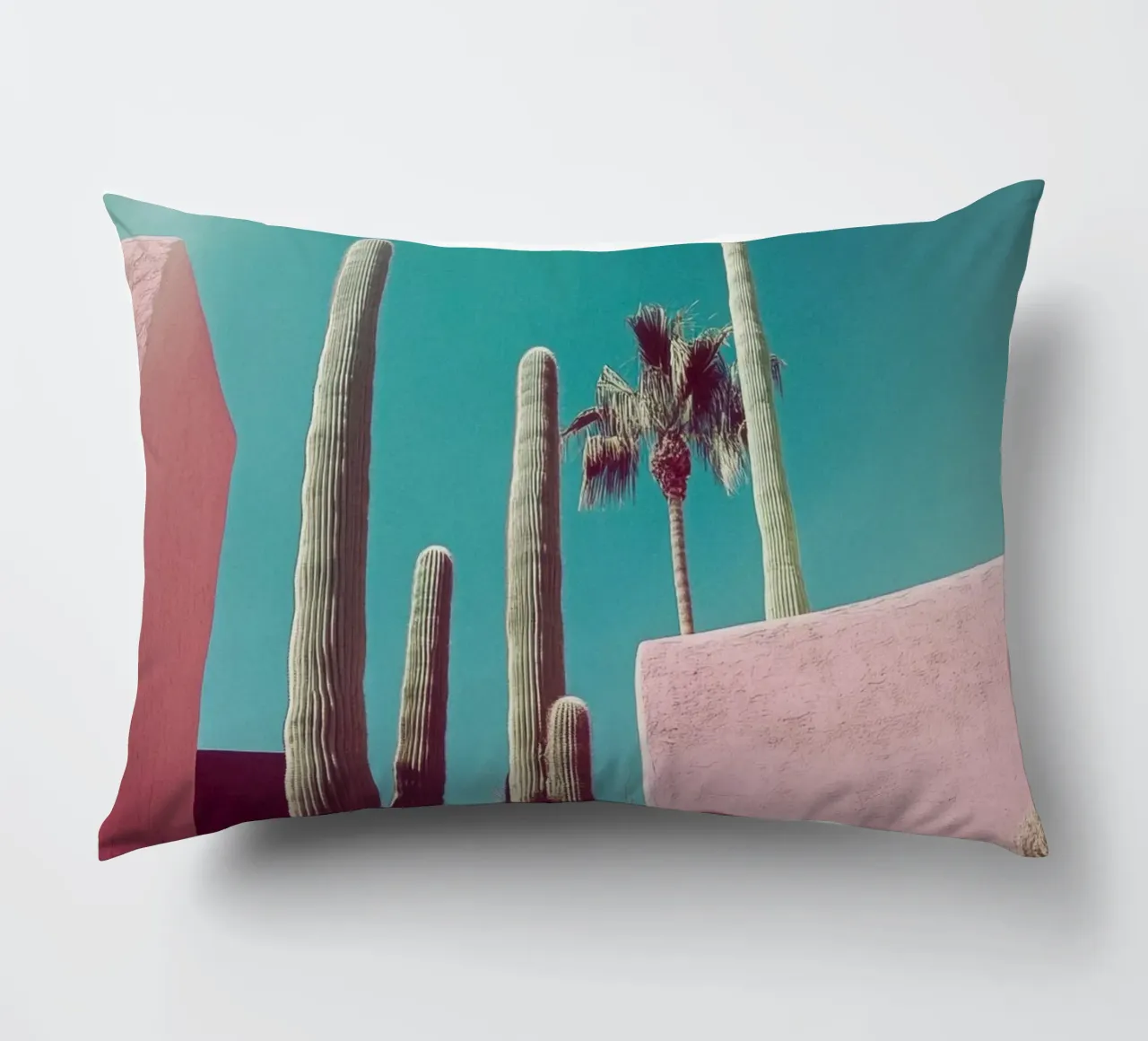 49 cuscino da Pink California | Affiches & Posters