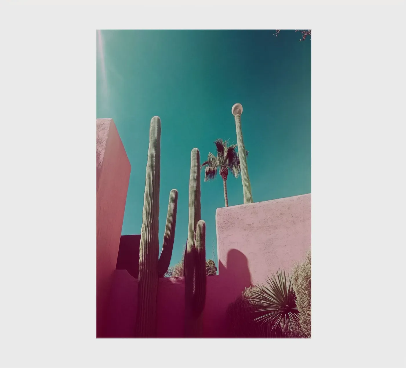 49 notebook by Pink California | Affiches & Posters
