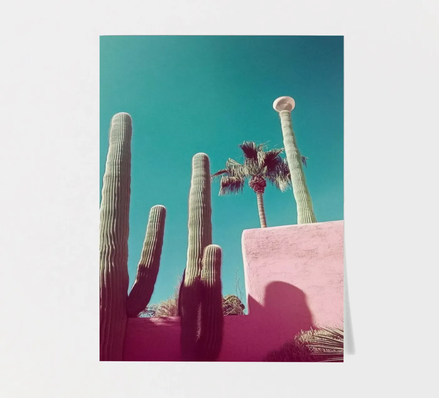 49 stickervel van Pink California | Affiches & Posters