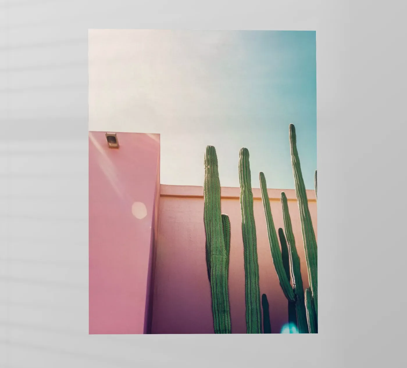 50 pellicola backlit da Pink California | Affiches & Posters