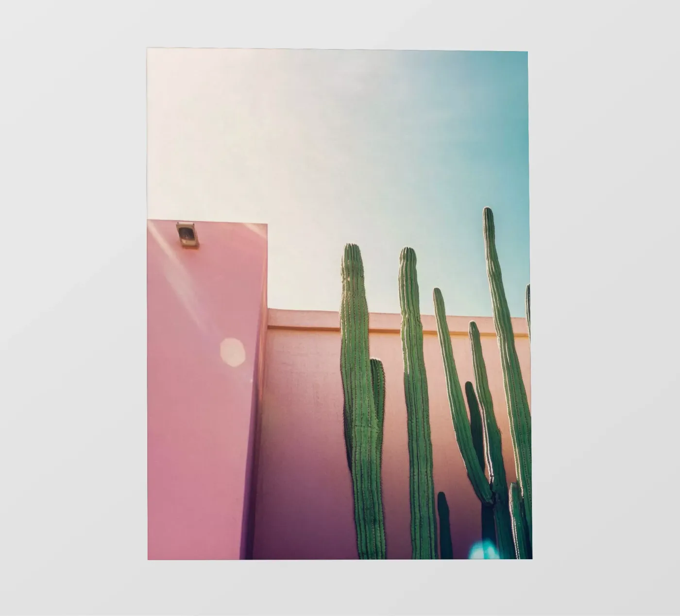 50 pellicola backlit da Pink California | Affiches & Posters