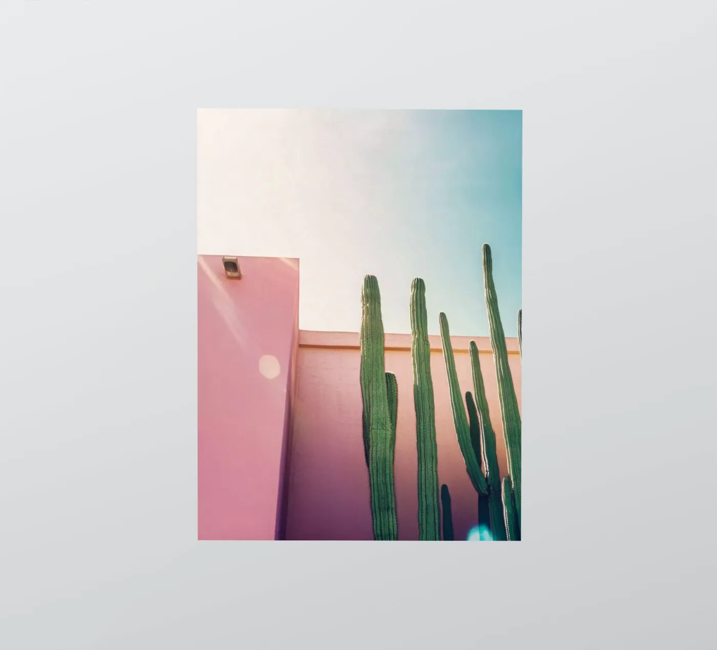 50 sticker by Pink California | Affiches & Posters