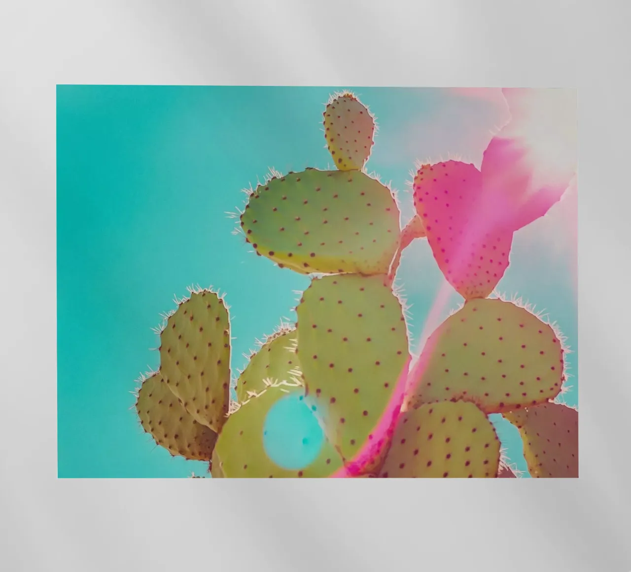 51 pellicola backlit da Pink California | Affiches & Posters