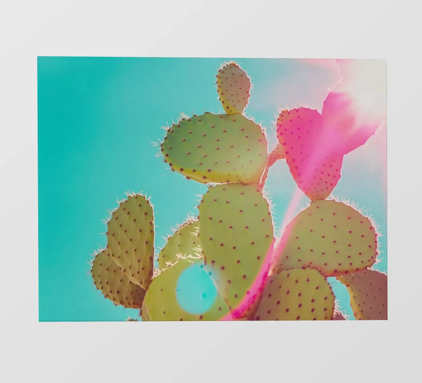 51 pellicola backlit da Pink California | Affiches & Posters