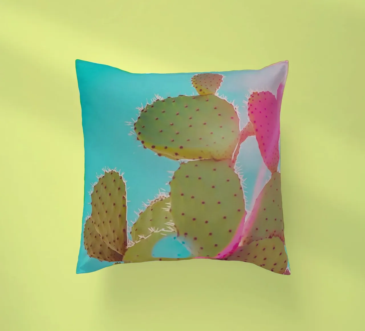 51 cuscino da Pink California | Affiches & Posters