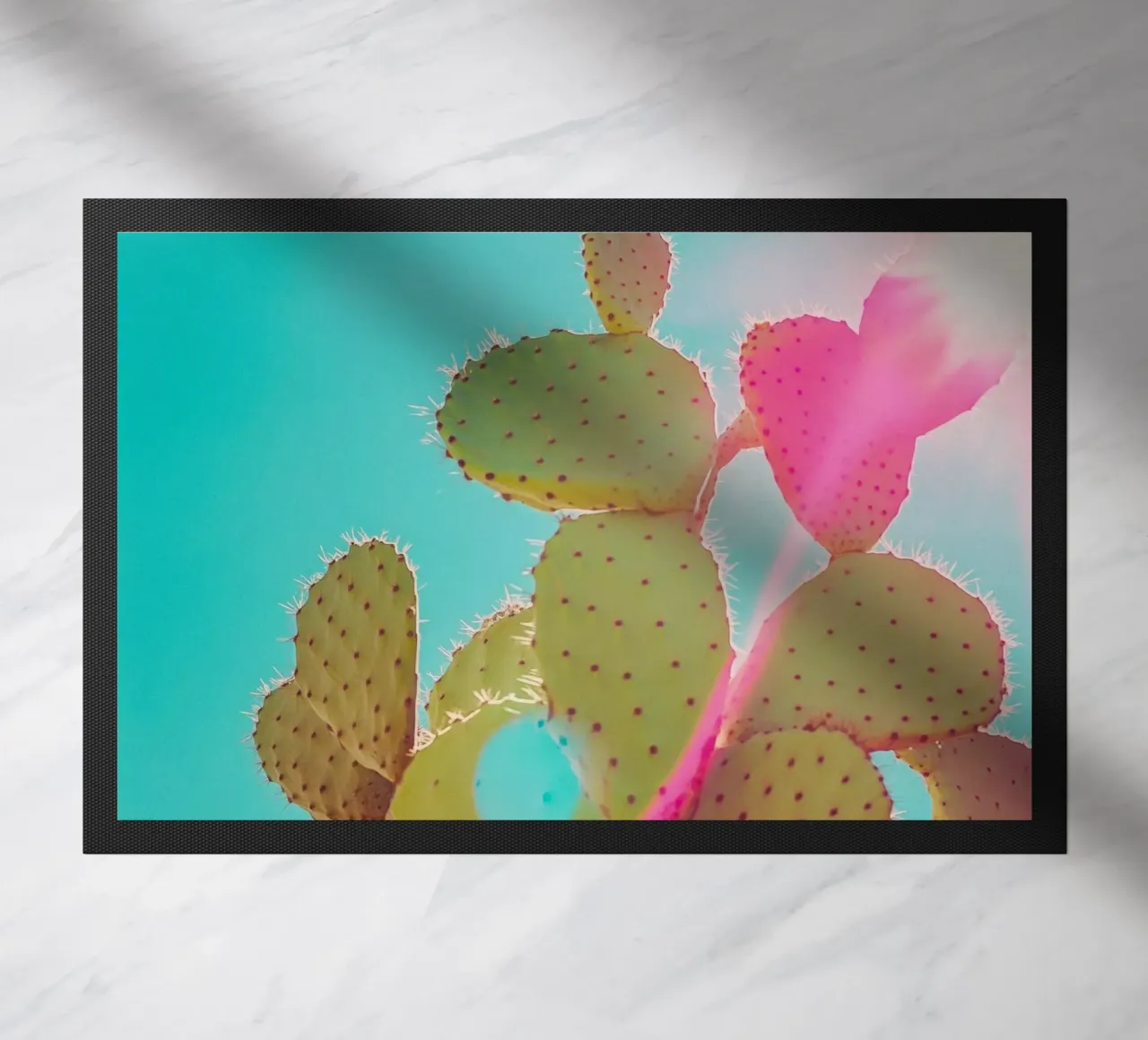 51 zerbino da Pink California | Affiches & Posters