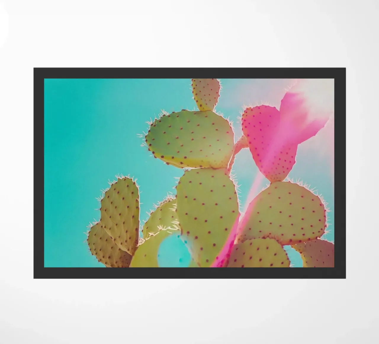 51 zerbino da Pink California | Affiches & Posters