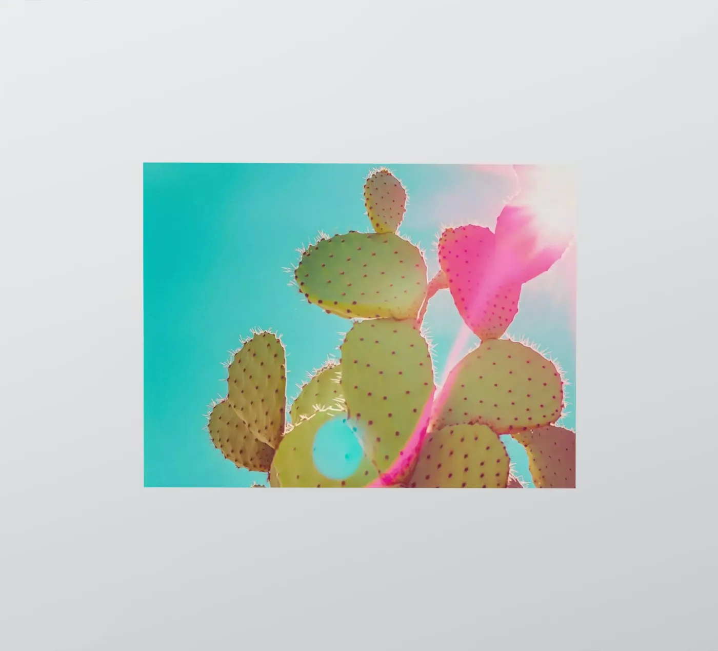 51 adesivo da Pink California | Affiches & Posters